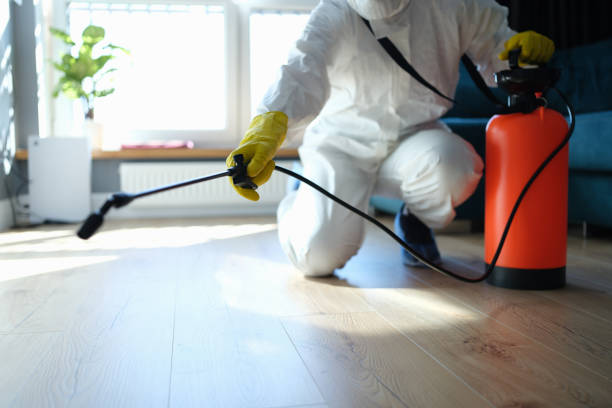 Trusted Odor Removal service in Pacific Beach, WA - Four Month Blood Cleanse